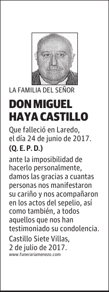 DON MIGUEL HAYA CASTILLO