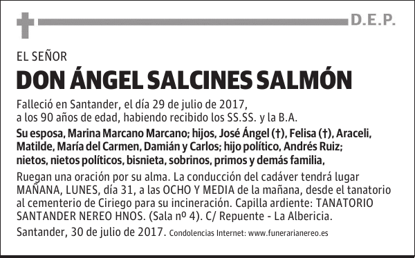 DON ANGEL SALCINES SALMON