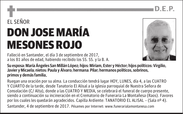 DON JOSE MARÍA MESONES ROJO
