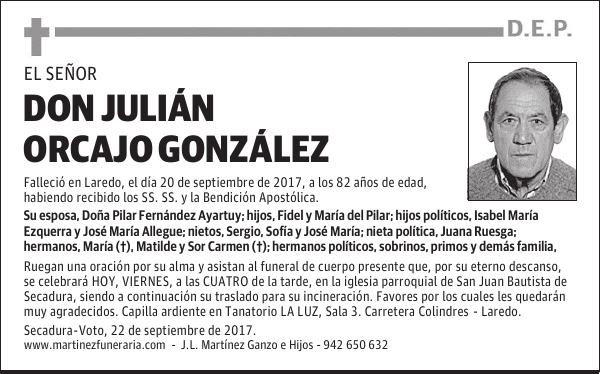 D. JULIÁN ORCAJO GONZÁLEZ