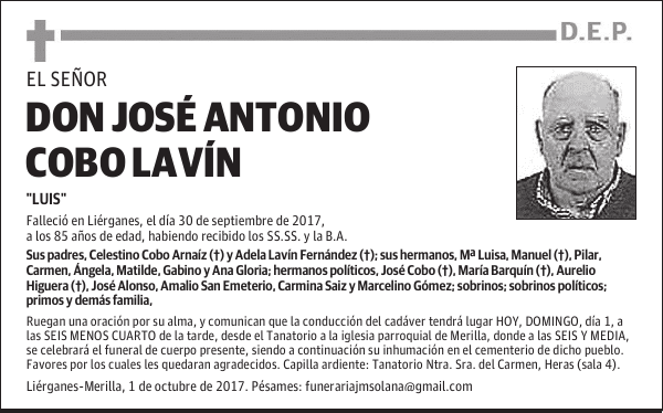 DON JOSÉ ANTONIO COBO LAVÍN