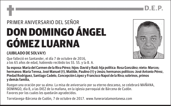 DON DOMINGO ÁNGEL GÓMEZ LUARNA