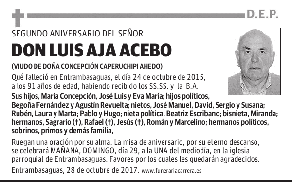 DON LUIS AJA ACEBO