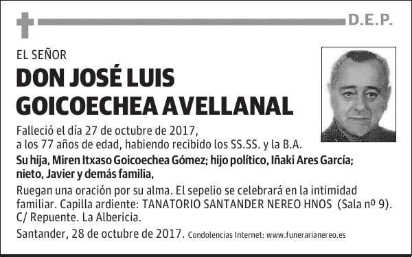 DON JOSE LUIS GOICOECHEA AVELLANAL