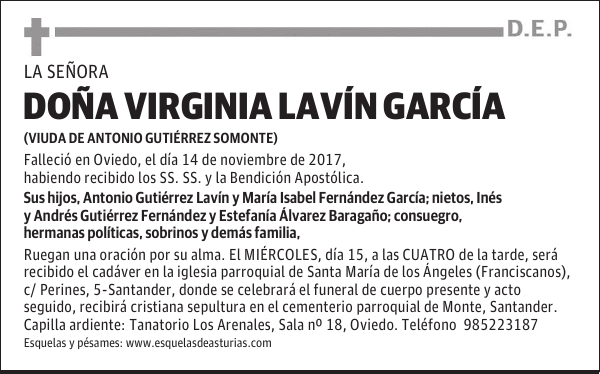 D.ª Virginia Lavín García