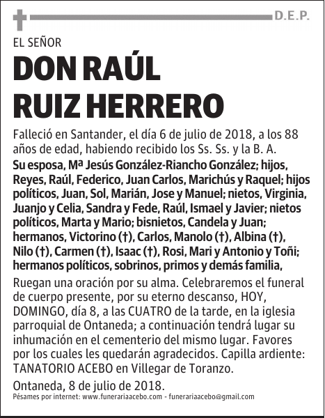 D. Raúl Ruiz Herrero
