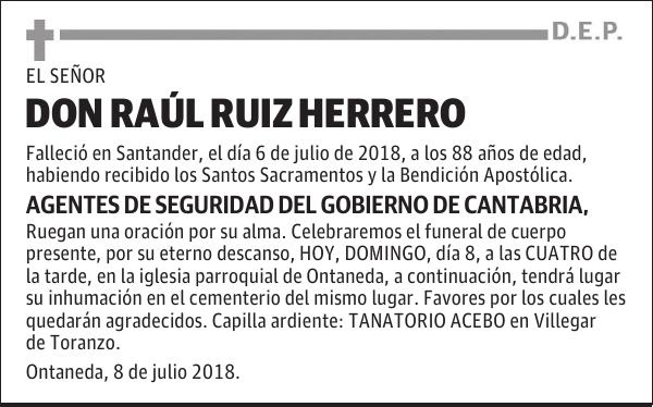 D. Raúl Ruiz Herrero