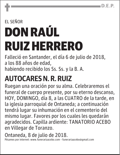 D. Raúl Ruiz Herrero