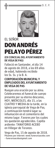 D. ANDRÉS PELAYO PÉREZ