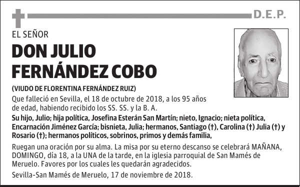 DON JULIO FERNÁNDEZ COBO