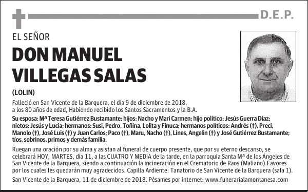 D. MANUEL VILLEGAS SALAS