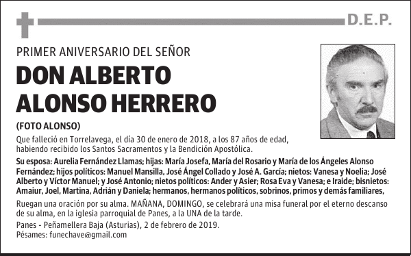DON ALBERTO ALONSO HERRERO