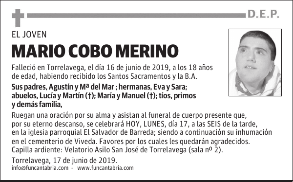 MARIO COBO MERINO
