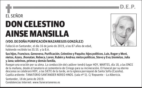 DON CELESTINO AINSE MANSILLA