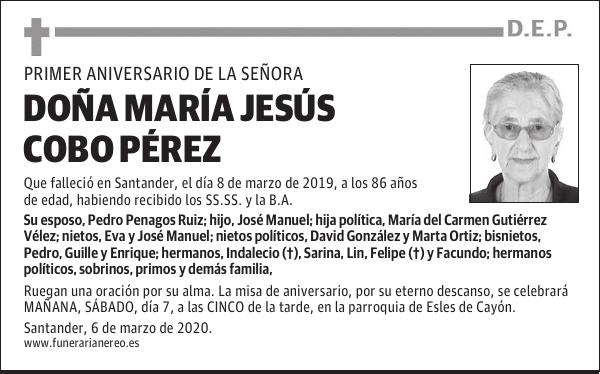 DOÑA MARÍA JESÚS COBO PÉREZ