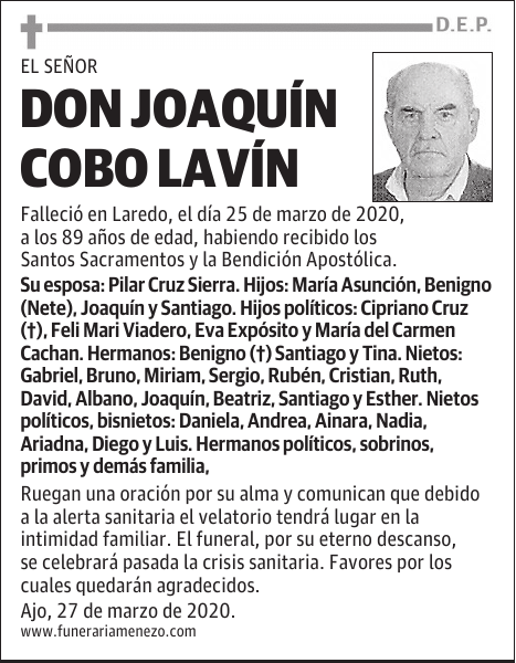 DON JOAQUÍN COBO LAVÍN