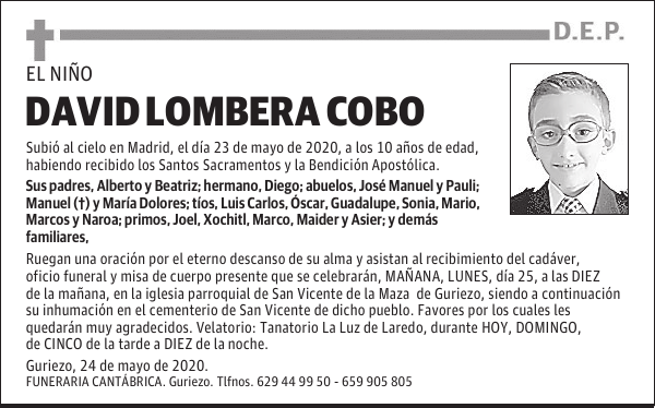DAVID LOMBERA COBO