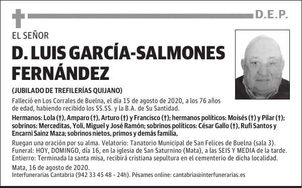 DON LUIS GARCÍA-SALMONES FERNÁNDEZ