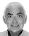 DON JOSÉ LUIS MAZO SALAS