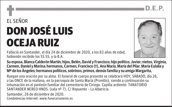 DON JOSÉ LUIS OCEJA RUIZ