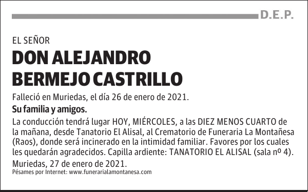 DON ALEJANDRO BERMEJO CASTRILLO