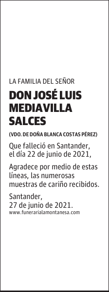 DON JOSÉ LUIS MEDIAVILLA SALCES