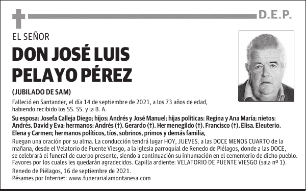 DON JOSÉ LUIS PELAYO PÉREZ