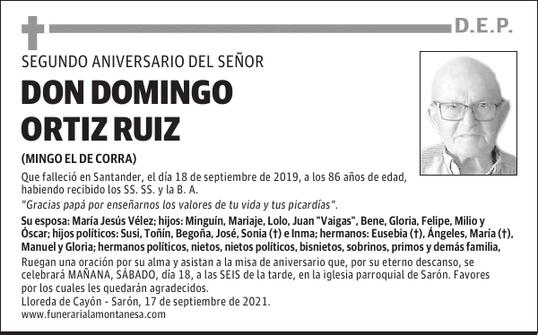 DON DOMINGO ORTIZ RUIZ