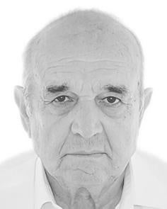 DON JOSÉ LUIS FUERTES DEL RÍO