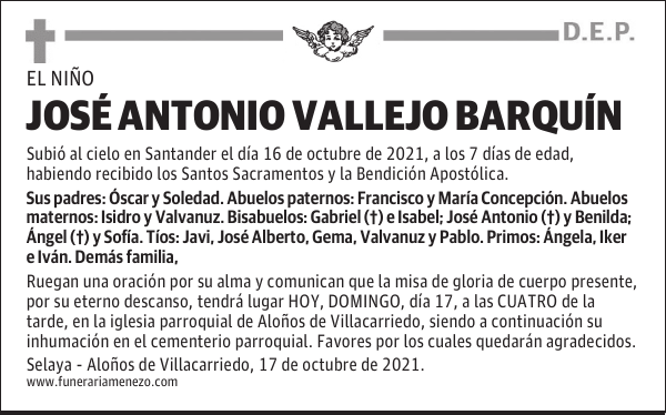 JOSÉ ANTONIO VALLEJO BARQUÍN