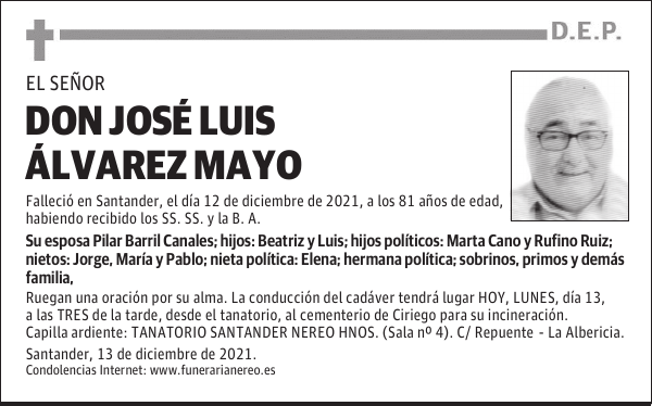DON JOSÉ LUIS ÁLVAREZ MAYO