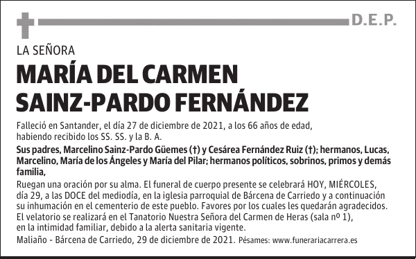 DOÑA MARÍA DEL CARMEN SAINZ-PARDO FERNÁNDEZ