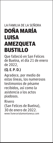 DOÑA MARÍA LUISA AMEZQUETA BUSTILLO