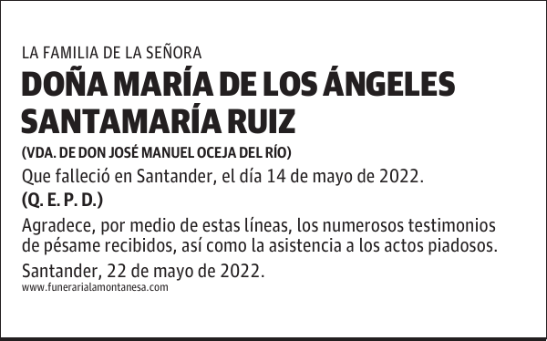 DOÑA MARÍA DE LOS ÁNGELES SANTAMARÍA RUIZ