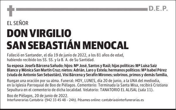 D. VIRGILIO SAN SEBASTIÁN MENOCAL