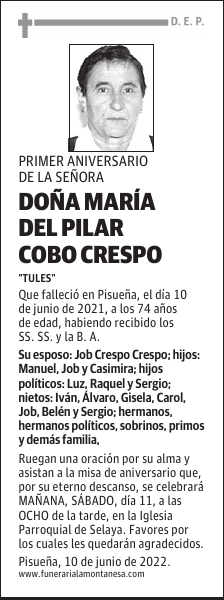 DOÑA MARÍA DEL PILAR COBO CRESPO