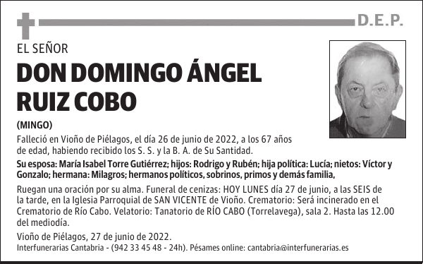 DON DOMINGO ÁNGEL RUIZ COBO