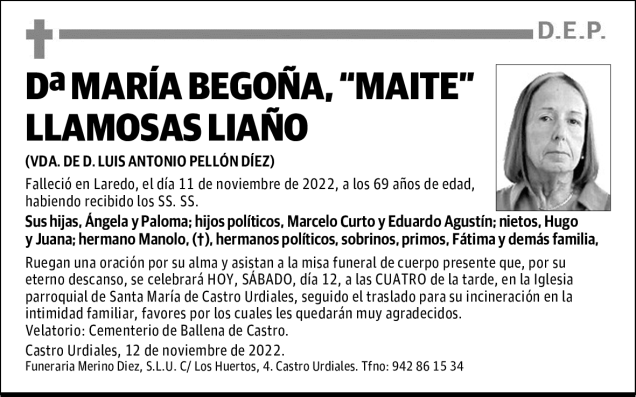 DOÑA MARÍA BEGOÑA LLAMOSAS LIAÑO
