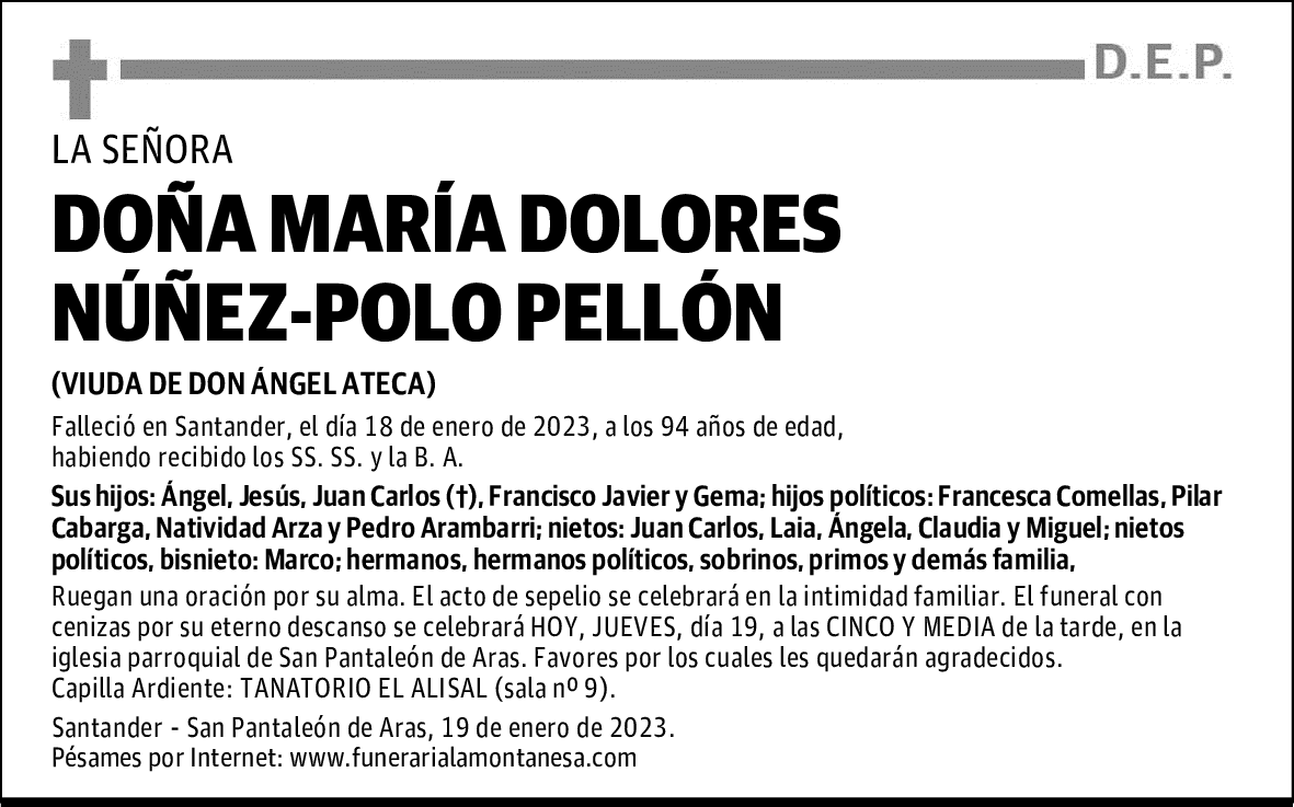 DOÑA MARÍA DOLORES NÚÑEZ-POLO PELLÓN