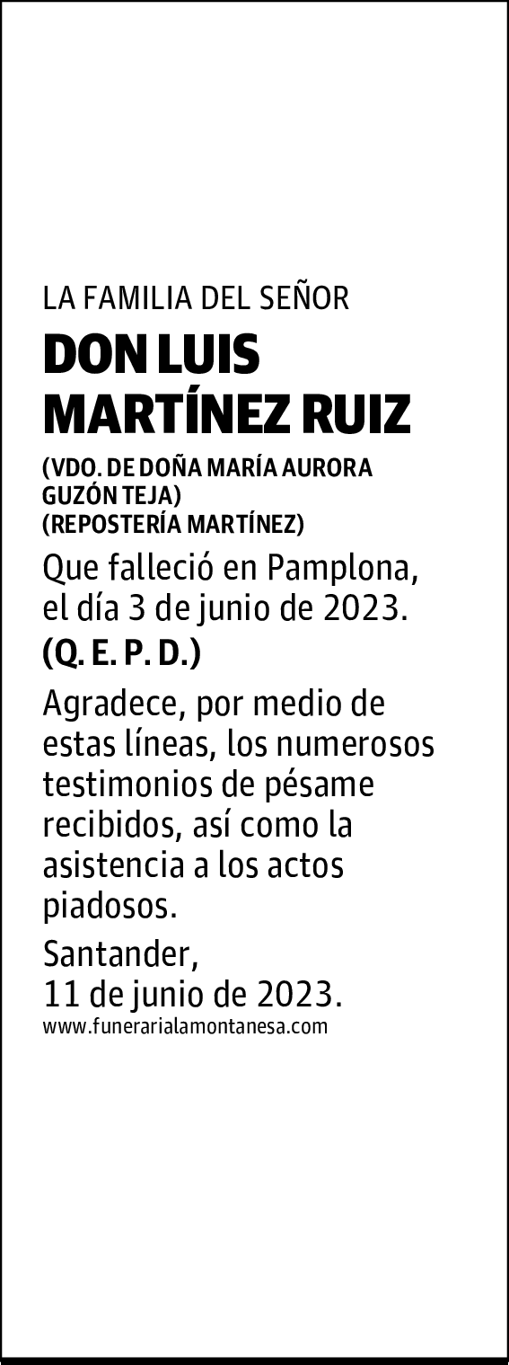 DON LUIS MARTÍNEZ RUIZ