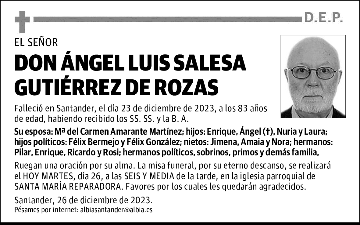DON ÁNGEL LUIS SALESA GUTIÉRREZ DE ROZAS