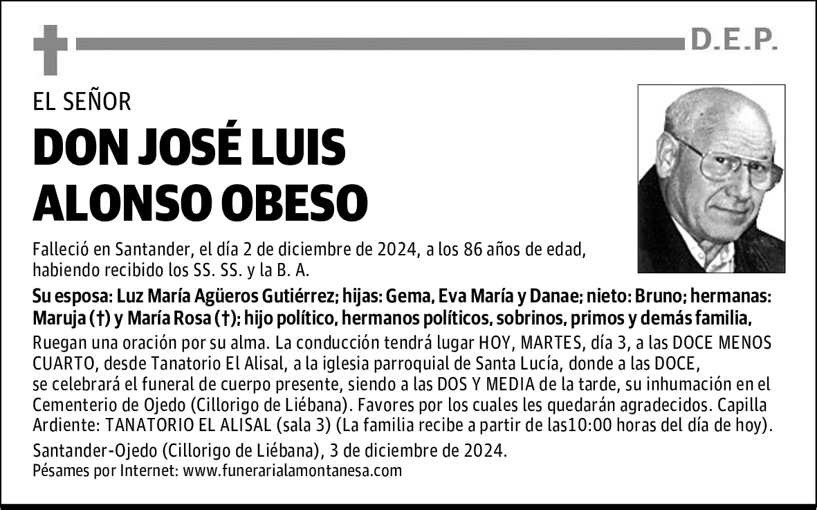 DON JOSÉ LUIS ALONSO OBESO