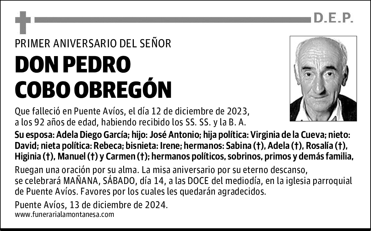 DON PEDRO COBO OBREGÓN