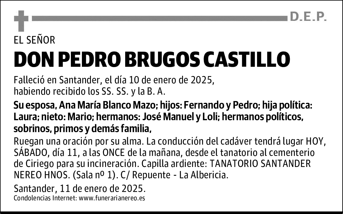 DON PEDRO BRUGOS CASTILLO