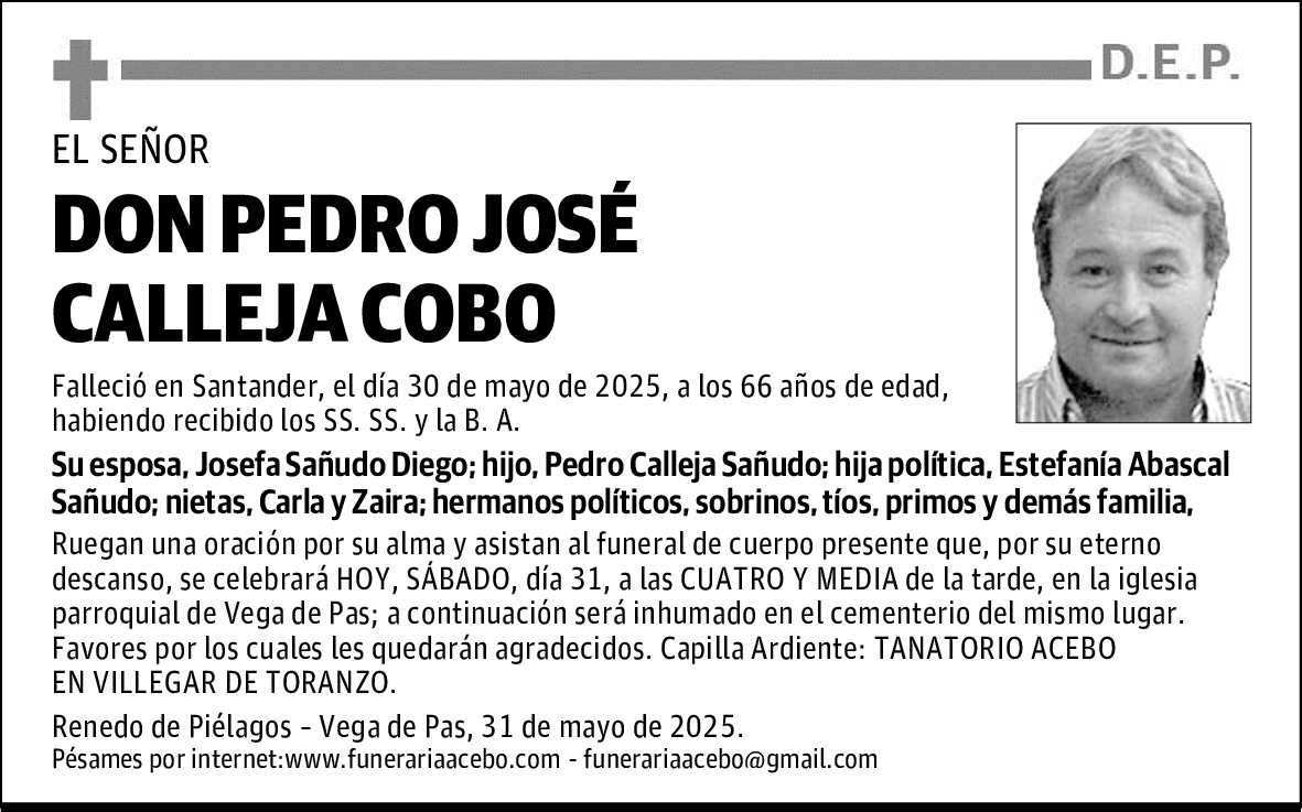 DON PEDRO JOSÉ CALLEJA COBO