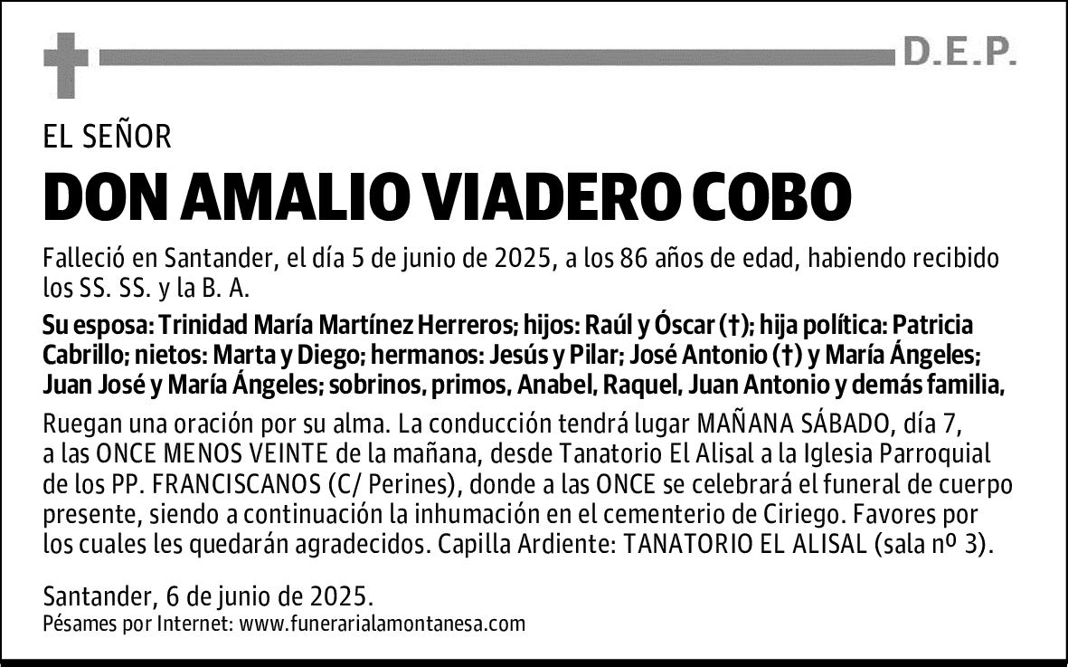 DON AMALIO VIADERO COBO