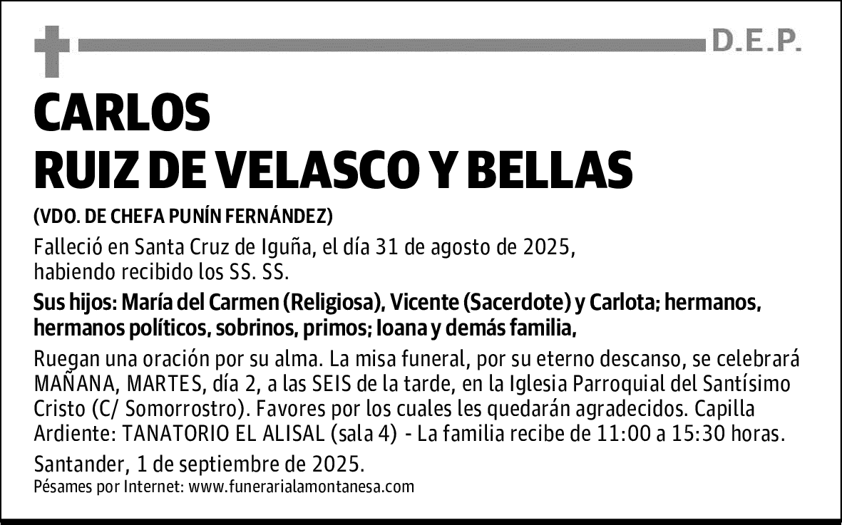 CARLOS RUIZ DE VELASCO Y BELLAS