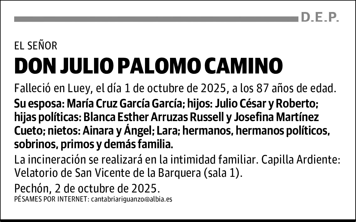DON JULIO PALOMO CAMINO
