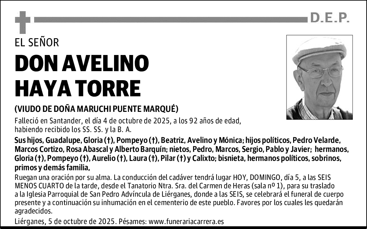 DON AVELINO HAYA TORRE
