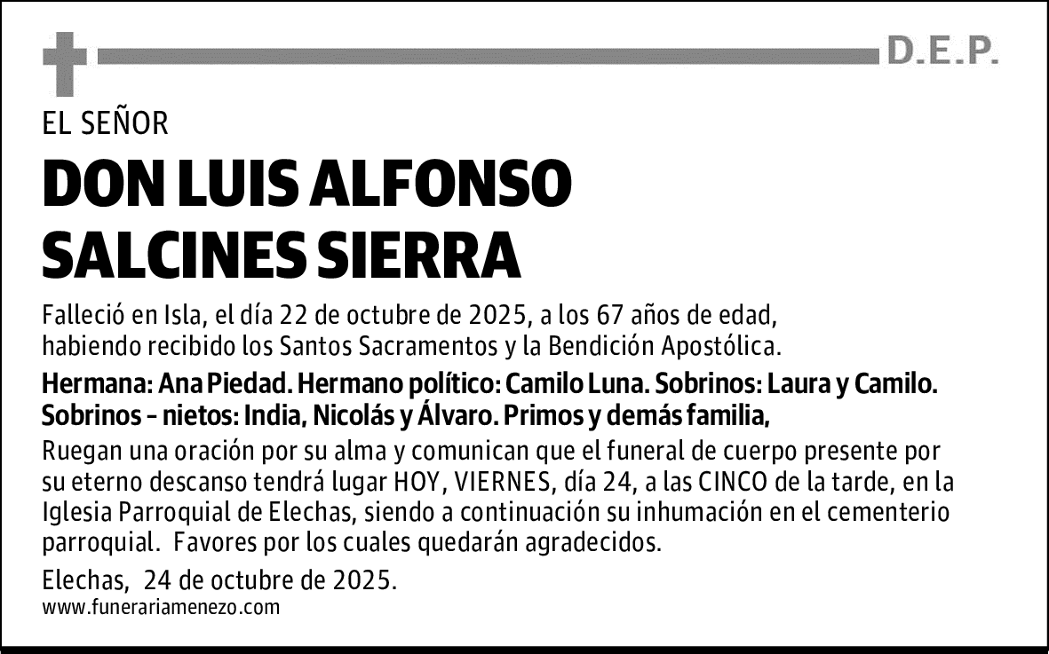 DON LUIS ALFONSO SALCINES SIERRA